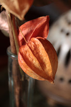 Cargar imagen en el visor de la galería, Composition florale zéro déchet #11