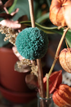 Cargar imagen en el visor de la galería, Composition florale zéro déchet #11