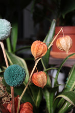 Cargar imagen en el visor de la galería, Composition florale zéro déchet #11