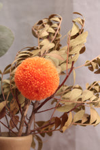 Cargar imagen en el visor de la galería, Composition Florale Zéro déchet #12