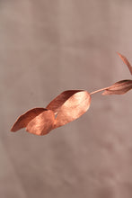 Cargar imagen en el visor de la galería, Composition Florale Zéro déchet #15