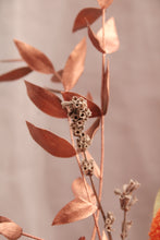 Cargar imagen en el visor de la galería, Composition Florale Zéro déchet #15