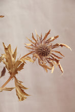 Cargar imagen en el visor de la galería, Composition Florale Zéro déchet #14