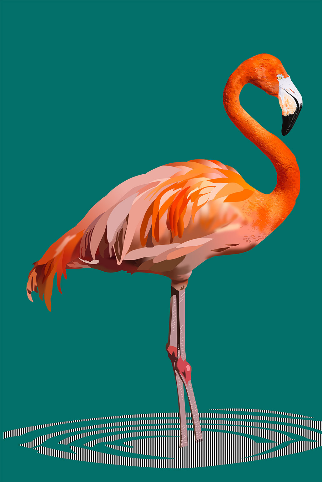 Illustration-flamingo-04